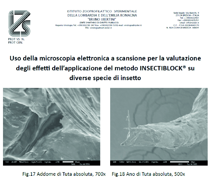 Tuta Absoluta Validazione scientifica efficacia Insectiblock